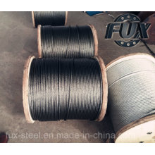 Ungalvanized and Galvanized Steel Wire Rope From Factory